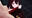 2023-03-25 00:00の投稿