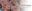 2019-07-25 11:59の投稿