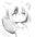 2019-07-25 20:09の投稿