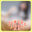 2023-04-03 11:00の投稿