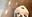 2019-07-27 12:28の投稿