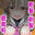 2023-04-15 00:00の投稿