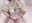 2023-04-19 07:00の投稿
