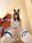 2023-04-19 13:55の投稿
