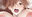 2023-04-20 00:00の投稿