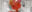 2023-04-20 12:00の投稿