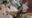 2023-04-20 19:52の投稿