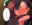 2023-04-21 20:54の投稿