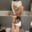 2023-05-01 00:00の投稿