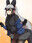 2019-08-08 22:27の投稿
