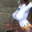 2023-04-29 17:00の投稿