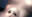 2023-04-29 11:47の投稿
