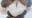 2023-04-29 14:54の投稿