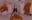 2023-04-30 01:29の投稿