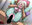 2023-04-30 11:30の投稿