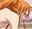 2019-08-10 09:54の投稿