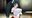 2019-08-11 11:16の投稿