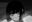 2023-05-03 20:00の投稿