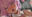 2023-05-06 07:00の投稿