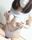 2019-08-20 23:44の投稿