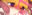 2023-05-20 05:29の投稿