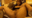 2023-05-22 23:59の投稿