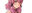 2019-08-24 21:46の投稿