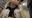 2019-08-29 23:11の投稿