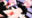2023-06-06 12:00の投稿