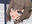 2023-06-09 11:59の投稿