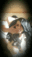 2019-09-01 08:42の投稿