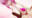2019-09-01 14:37の投稿
