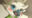 2023-06-15 14:55の投稿