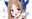 2023-06-16 13:36の投稿