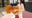 2023-06-17 21:30の投稿