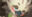 2023-06-26 03:19の投稿