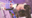 2023-06-26 20:51の投稿