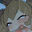 2023-06-30 19:00の投稿