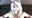 2023-06-30 11:56の投稿