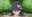 2023-06-30 14:20の投稿