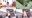 2019-09-12 18:28の投稿