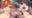 2019-09-13 16:41の投稿