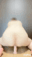 2023-07-06 20:00の投稿