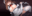 2019-09-17 23:55の投稿