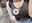 2019-09-19 21:16の投稿