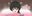 2023-07-19 23:56の投稿