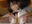 2023-08-09 07:00の投稿