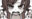 2023-07-21 09:08の投稿