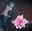 2019-09-21 11:01の投稿