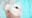2019-09-21 16:27の投稿